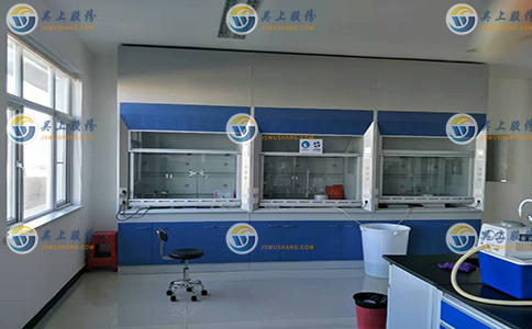 實(shí)驗(yàn)室通風(fēng)柜圖片